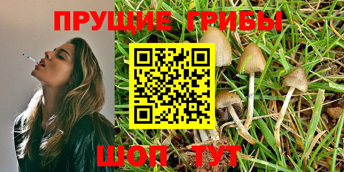 Псилоцибиновые грибы MAGIC MUSHROOMS  Галлюциногенные грибы Magic Shrooms  Вход с VPN  Сегежа 