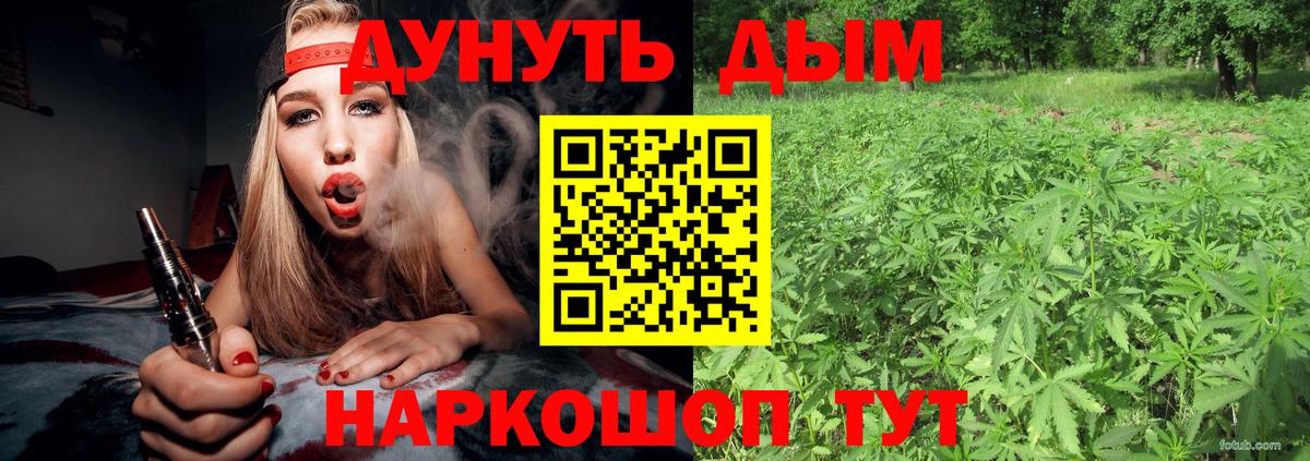Бошки марихуана планчик  Канабис марихуана  Сегежа  Вход с VPN  Бошки марихуана OG Kush 